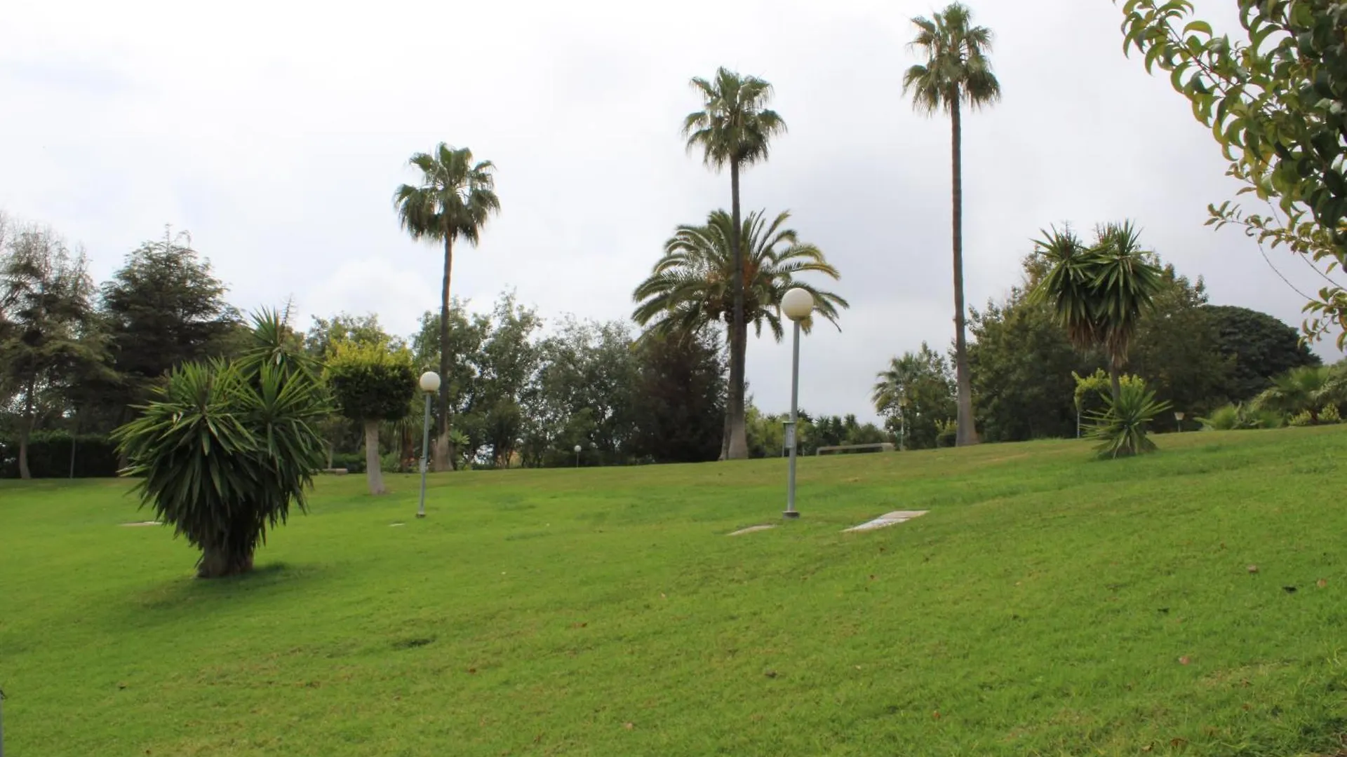 Minerva Nuevo 400 Lejlighed Benalmádena 0*,